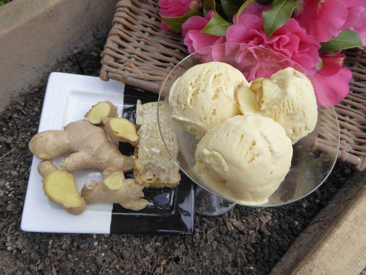 Ginger and Honey Ice Cream