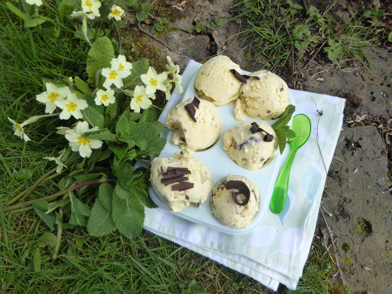 Mint Choc Chip Ice Cream